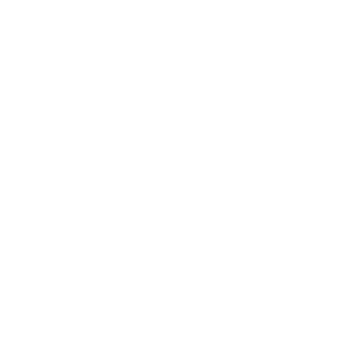 Logo FISIO MOB BCN